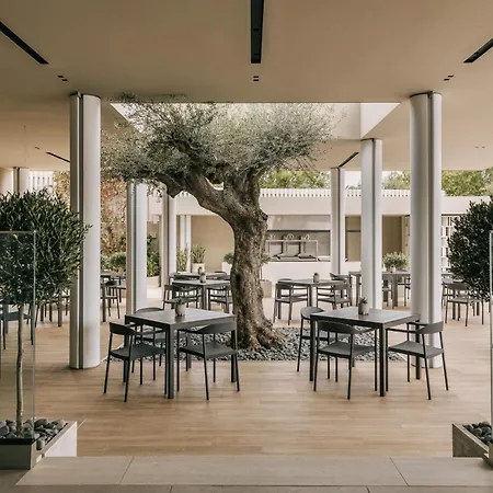 Divani Apollon Palace & Thalasso 5* Vouliagmeni