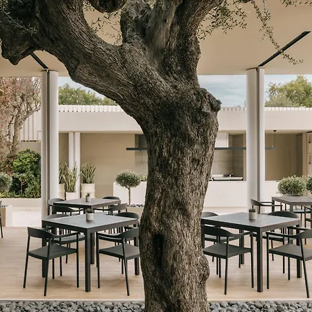 Resort Divani Apollon Palace & Thalasso